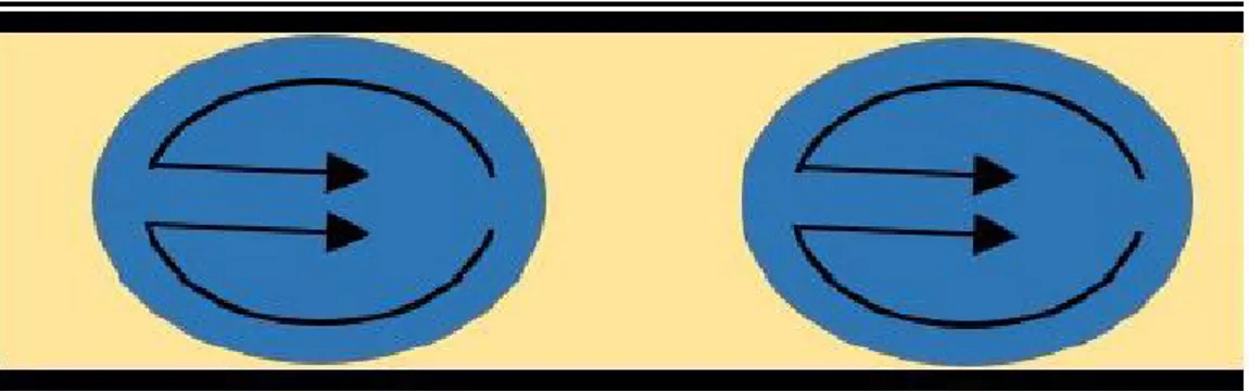 Figure 1.2: Flow profile in droplet based microfluidic reactor