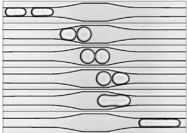 Figure 2.8: Time sequence showing the destabilization of a droplet pair passing through a symmetrical coalescence chamber: collision, relaxation, separation, and fusion