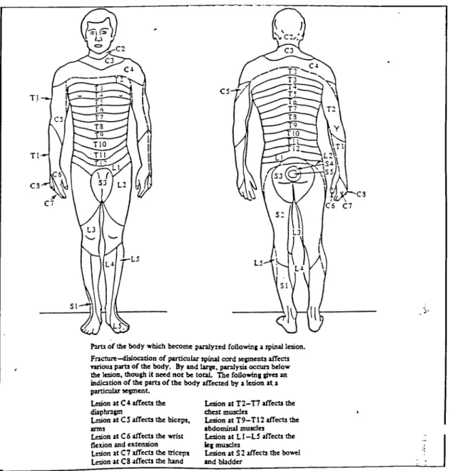 Figure 4.2.  Physical  Problems Associated with  Lesions.