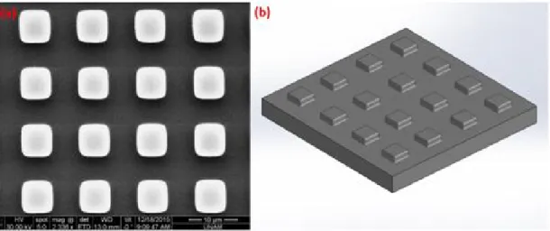 Figure 4.1: (a) Scanning Electron Microscope image of 2D plasmonic absorber structure