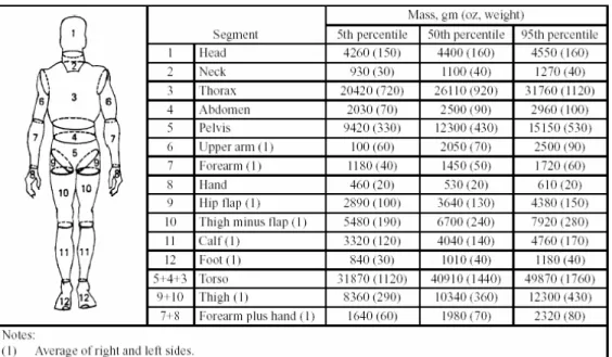 Table 2.6. Mass of body segments for the American male crew member 