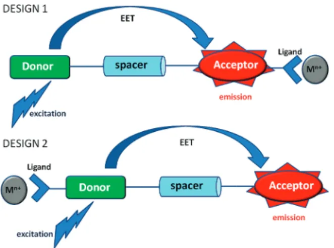 Figure 1. Two different designs for excitation energy transfer coupled ion sensing. Examples of “Design 1” were reported previously