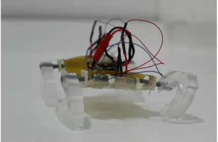 Figure 3.4: The robot with PDMS body and PDMS c-shaped legs