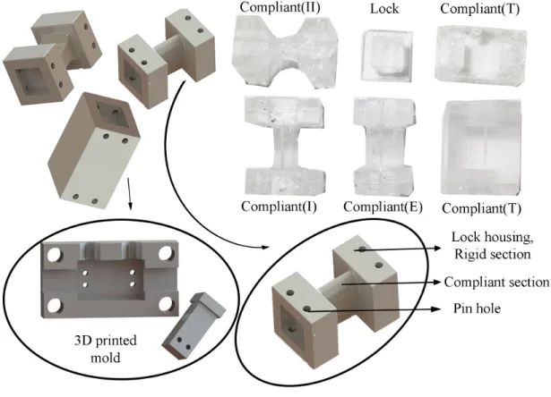 Figure 2.6: PDMS locks and PDMS backbones: only torsional, compliant I-beam and compliant with elliptical mid-cross-section.