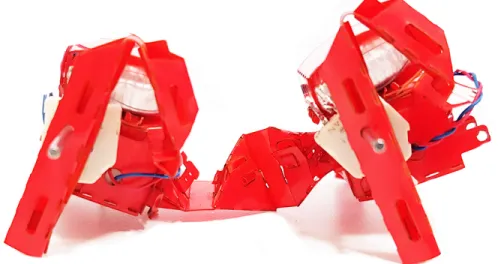 Figure 2.16: Operation failure of a four-legged two-module initial version SMoL- SMoL-Bot with 2-DOF foldable compliant backbone.