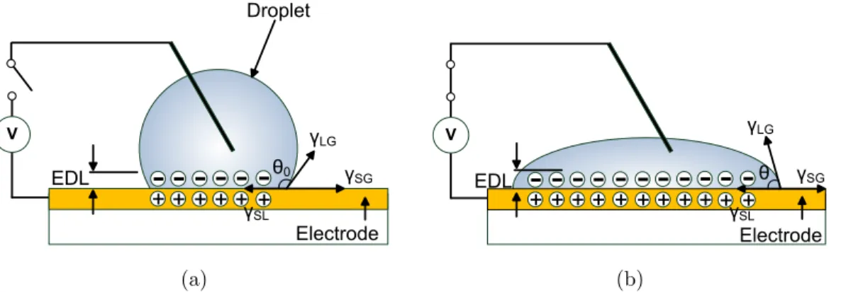 Figure 2.1: Schematic representation of electrowetting effect: (a) No voltage applied