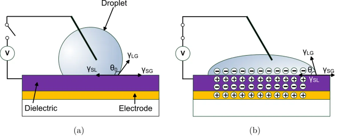 Figure 2.3: Principle of EWOD. (a) With no voltage applied, there is little or no charge accumulation at the interface