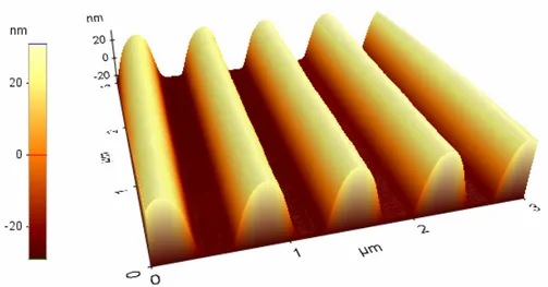 Figure  3.16:  AFM  topography  image  of  the  sine-like  nanoimprinted  polymeric  grating 