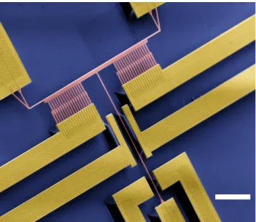 Figure 1.1: Example of a NEMS device fabricated for this study. Scale bar is 10 µm.