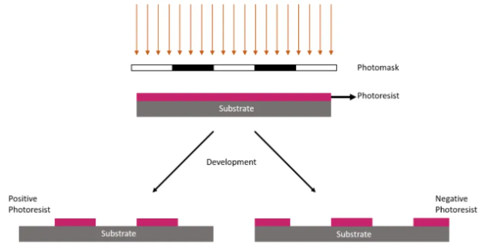 Figure 2.2: Representation of positive and negative photolithography After the photoresist layer is exposed to UV light, sample is dipped in a  chemi-cal dissolver chemi-called developer