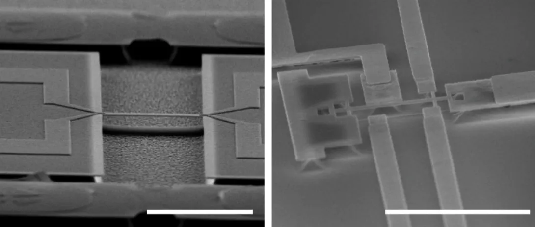 Figure 1.1: Two examples of NEMS devices fabricated during this study with widths and thicknesses smaller than a micrometer