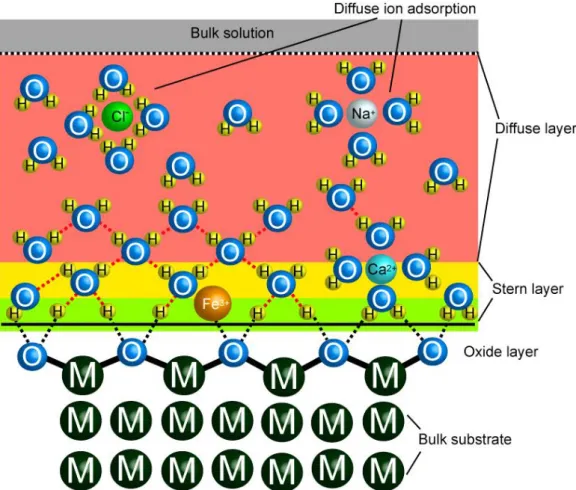 Figure 1.1  Interaction  of  water  molecules  and  dissolved  ions  with  surface. 