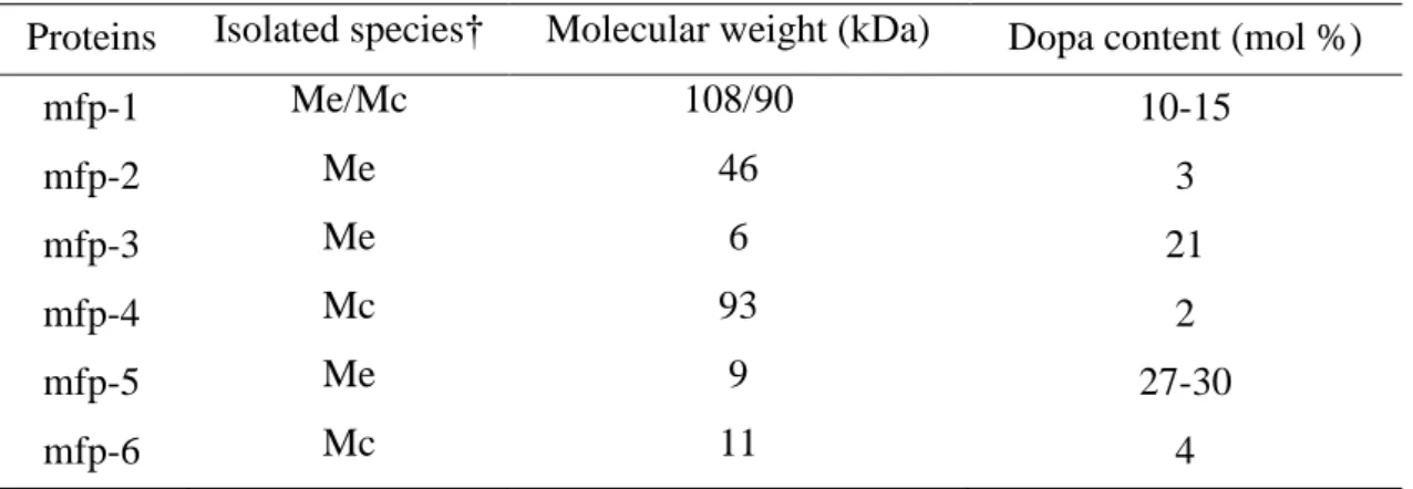 Table 1.1  Molecular weight and Dopa content of mussel adhesive proteins. 8, 33-36