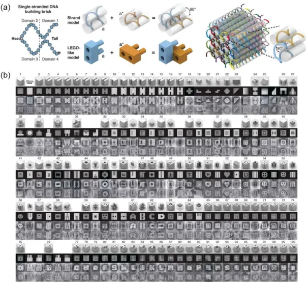 Figure 1.11  Sequence-specific  information  of  DNA  provides  a  vast  source  for  programmable  supramolecular  materials