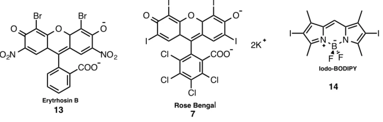 Figure  16. Halogenated sensitizers for PDT. 