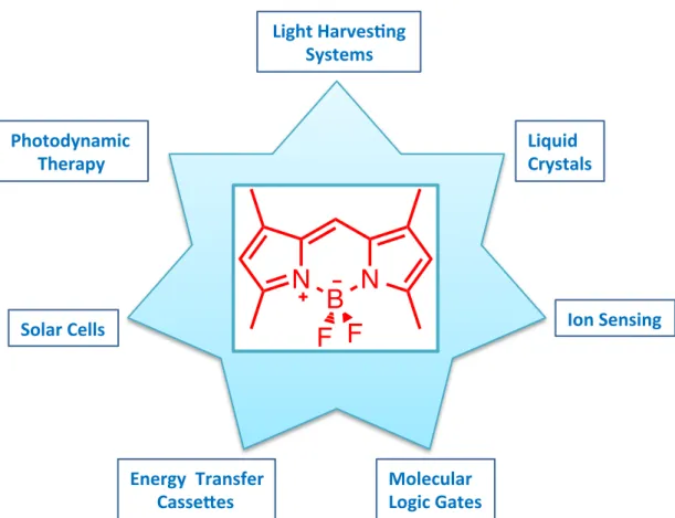 Figure  23. Applications of BODIPY molecule. 