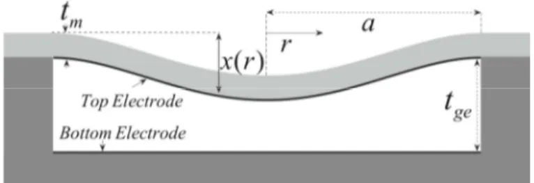 Fig. 1 CMUT geometry 