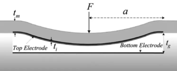 TablE I. dimensions of cmUTs Used in the Examples. 