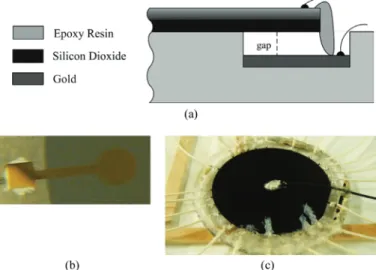 Fig. 8. (a) cross-sectional view of a fabricated single cell after anodic  bonding, lead wire connections, and epoxy, (b) top (glass) view of a  section with electrode (Ti-au) of the fabricated cmUT, (c) bottom  (sili-con) view of the fabricated cmUT