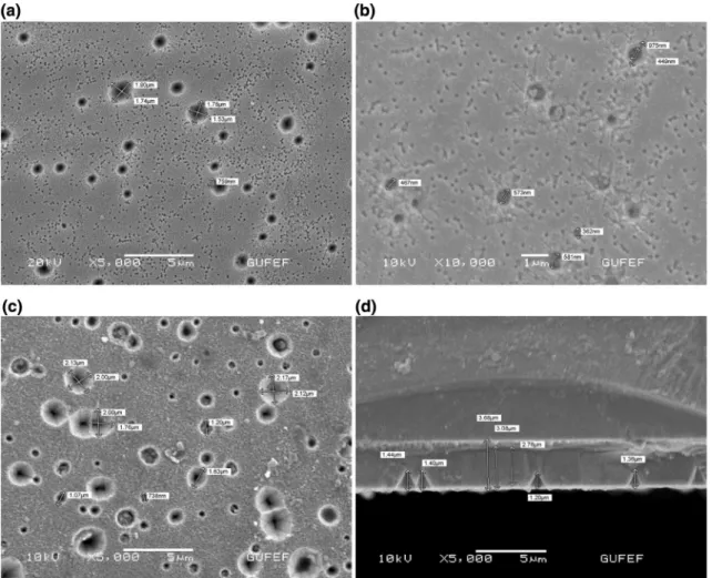 Fig. 6    SEM images of InGaN/GaN/Al 2 O 3  MQWs (Pinholes)