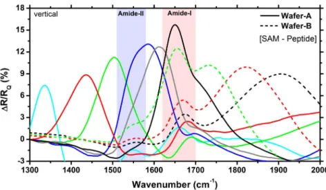 Figure 5 | (a) A representative difference spectra (normalized and baseline corrected) for the two functionalized surfaces with vertical and horizontal peptide orientations