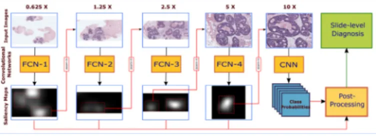 Fig. 1. Overview of the proposed framework. Salient regions are detected on the  input WSI by feed-forward processing of FCN-1