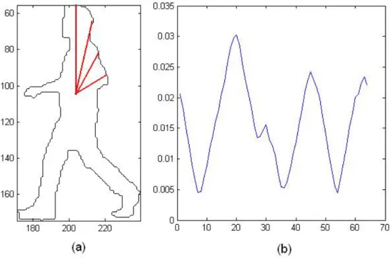Figure 3.3: Modified radial transformation. (a) Contour of the silhouette in fig.