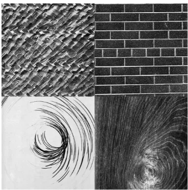 Figure 4.1: Sample images from Brodatz texture database. This database con- con-tains non-homogeneus textures as well as homogeneus textures