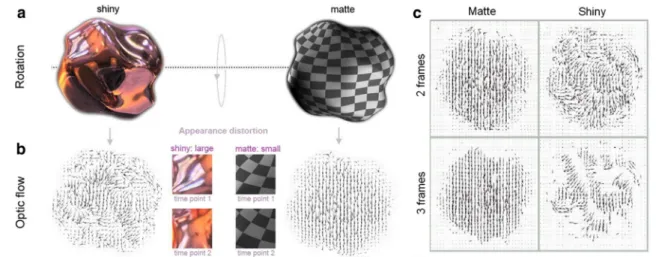 Fig. 5 Appearance distortion and appearance change. a A complex shiny (left) and a matte, textured object (right) are rotating about the horizontal axis