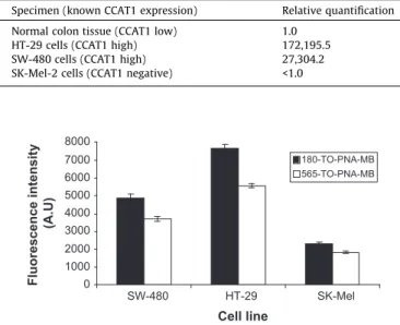 Fig. 2. The pure ﬂuorescence intensity (PFI, in arbitrary units) caused by hybrid- hybrid-izing 180-TO-PNA-MB (ﬁlled columns) or 565-TO-PNA-MB (empty columns) to total RNA extracted from HT-29 and SW-480 (highly expressing CCAT1) and  SK-Mel-2 (CCAT1 negat
