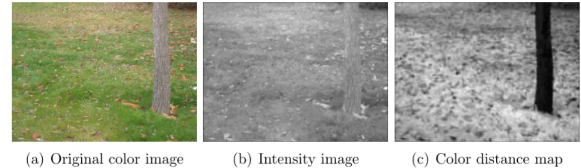Figure 2.4: Color Transformation based on Mahalanobis distance. Dark regions have a high probability (not formally) of having color values close to the learned tree color model.