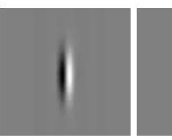 Figure 2.8: Examples of odd Gabor filter (IGFs) in the spatial domain with orientation θ = 0 and two different scales.