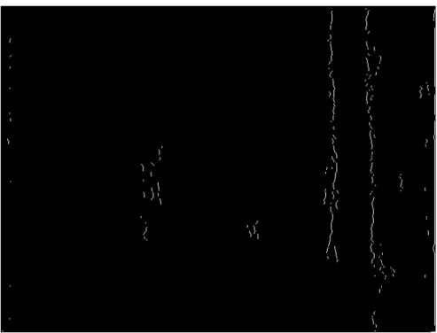 Figure 2.14: Example edge detection using the Modified Edge Flow method: