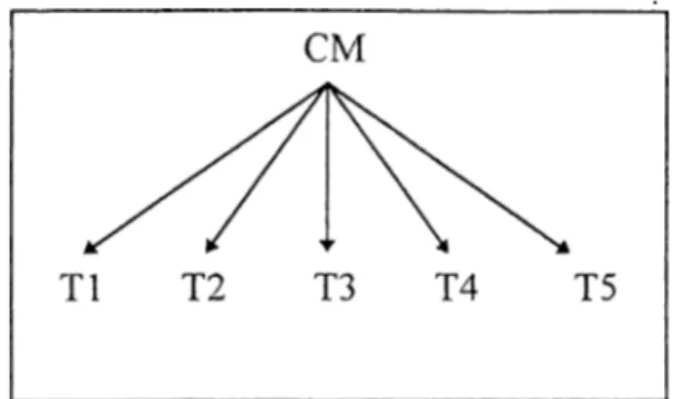 Figure 2  Group Composition  of CM groups 