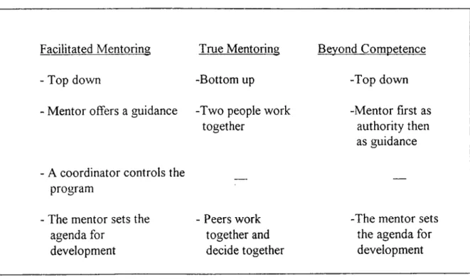 Figure 4  Features of  Mentoring Models