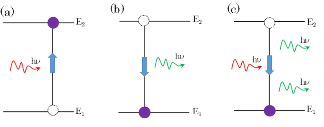 Figure 2.1: An illustration of (a) absorption, (b) spontaneous emission, and (c) stimulated emission processes