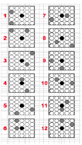 Figure 3.1.  12 distinct protein spotting patterns and a reference InkDot on a PA  unit