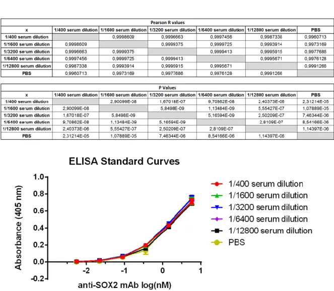 Figure  4.6  ELISA  anti-SOX2  Standard  curves  prepared  in  different  serum  dilutions  and  PBS  buffer &amp; Pearson R correlation of each standard curve