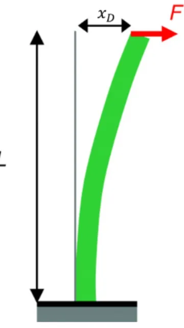 Figure 3.1: The cantilever beam under a point load at the free end [8]