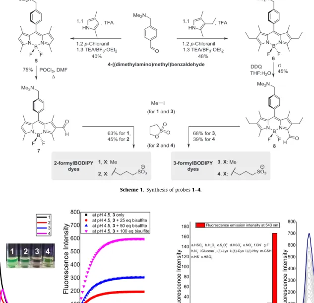 Fig. 2. Left: Fluorescence emission spectra of the probe candidates 1–4 (each 1 l M) in 10 mM PBS (pH = 7.40, k ex 490 nm)