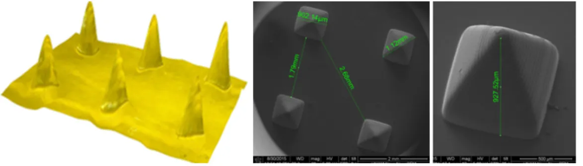 Figure 1.7: Measurements of fabricated micro needle structures.