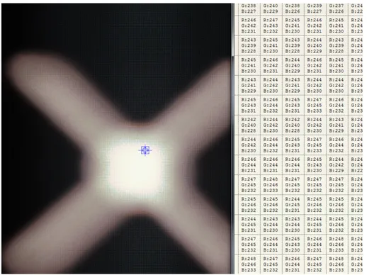 Figure 2.2: Pixel intensity values of a specific area.