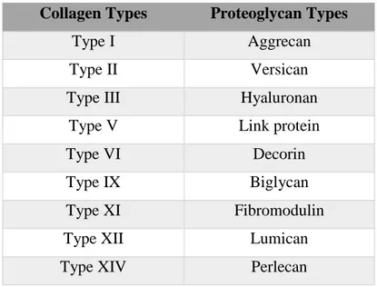 Table 1 Types of collagens and glycoproteins in the ECM of IVD tissue 