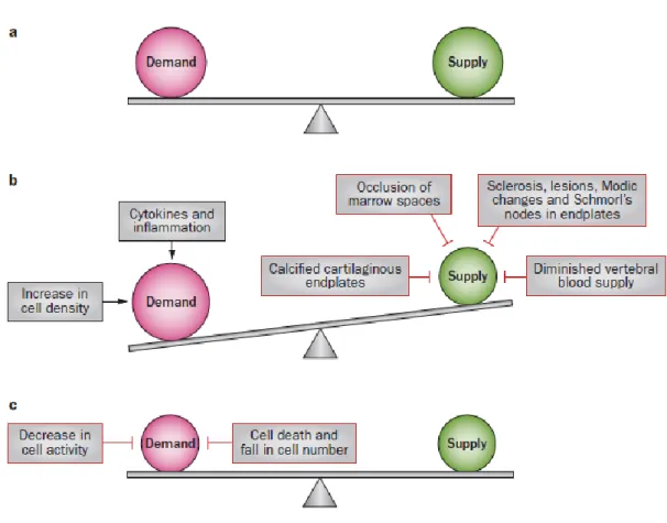 Figure 3 Schematic representation of the factors that influence the balance between  nutrient supply and demand