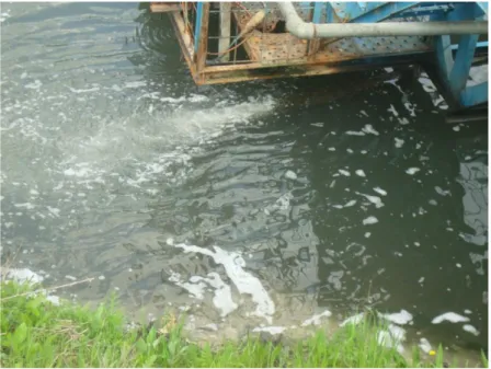 Figure 1: Foaming in an industrial effluent due to contamination of surfactants. 