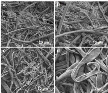Figure  17:  SEM  micrographs  of  STB1  immobilized  pCA  nanofibers  after  7  days  of  incubation  at  (a)  4000X  and  (b)  8000X;  and  bacteria  detached  pCA  nanofibers at (c) 4000X and (d) 20000X magnification