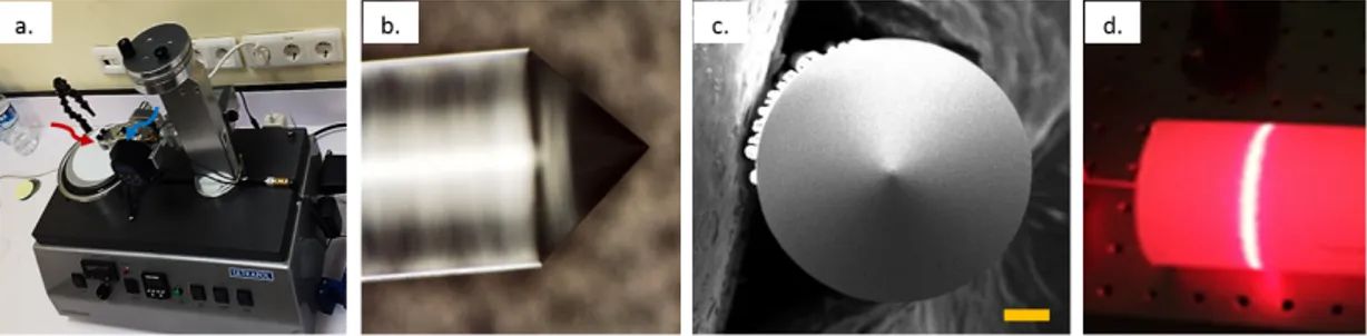Figure 3.9: Fabrication procedure of the side-firing fiber probe. (a) Polishing procedure, (b) optical microscope image, (c) SEM image (scale bar: 100µm), (d) spatial distribution of radial probe.