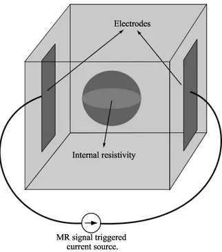 Figure 2.1: A cubical object with a spherical resistivity region different from background resistivity