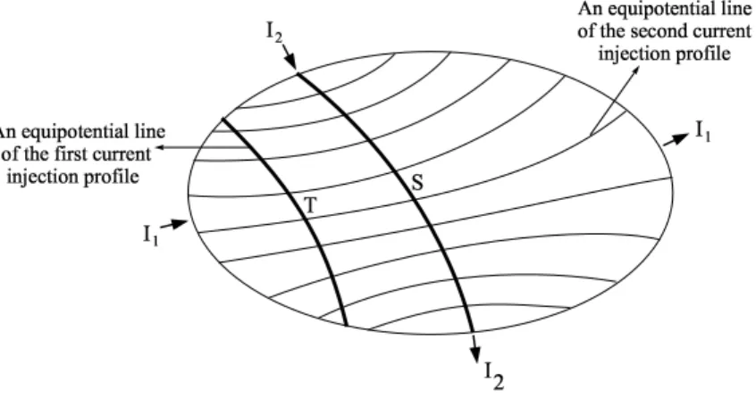 Figure 4.1: I 1 and I 2 denote two opposite current injection patterns which are applied one at a time