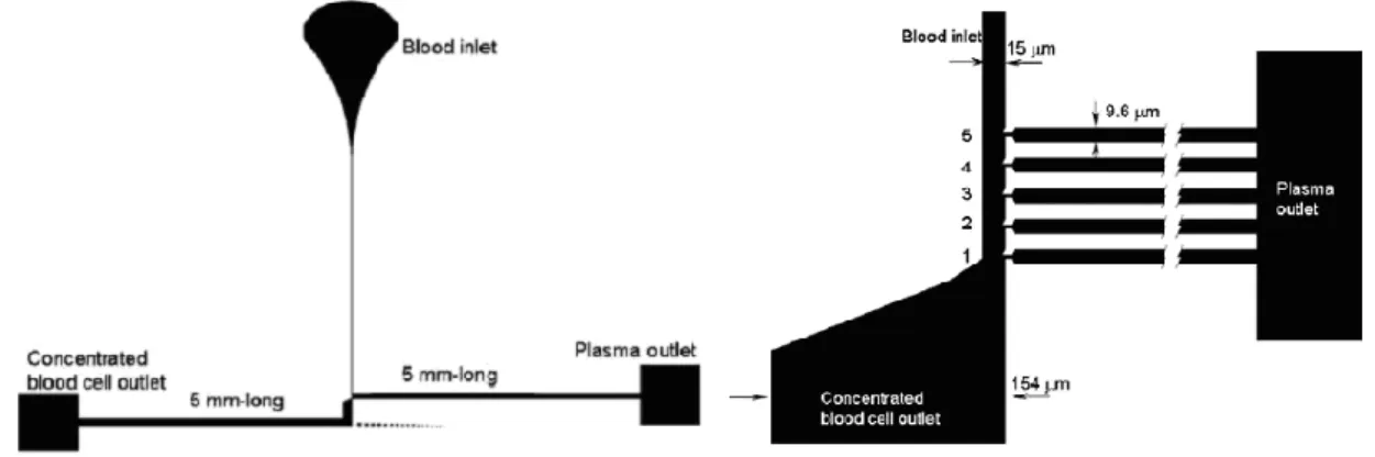 Figure 1. Schematic of the simple-microchannel microfluidic device [6]. 